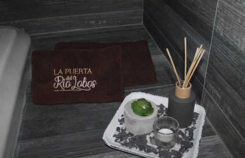 Casa Rural La Puerta Del Río Lobos - Foto 30