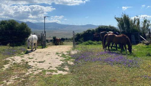 Rustic Cabin Tarifa 4 guests 5 minutes to beach - Foto 5
