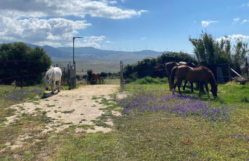 Rustic Cabin Tarifa 4 guests 5 minutes to beach - Foto 5