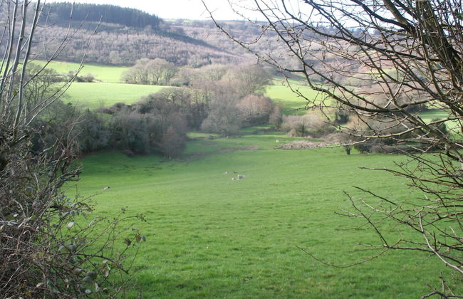 Lovely Bk Calypso Bluebird 6 Berth Holiday Caravan - Photo 12