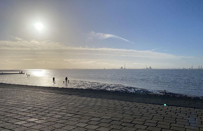 Ferienwohnung mit Sauna in Tossens - Foto 28