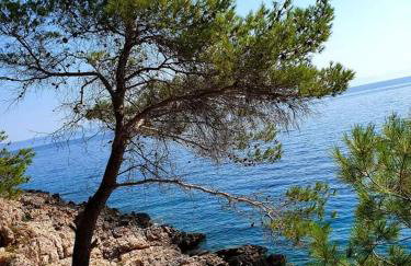 Modern Robinson Veli Bare - Photo 14