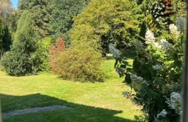 „Altes Forsthaus“ am Schloss - Photo 36