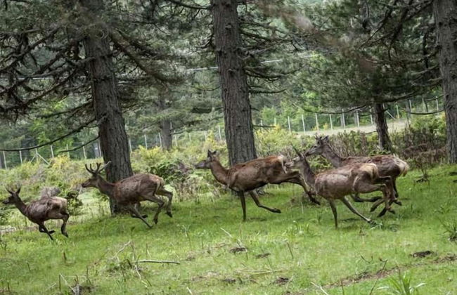 La Casa di Chiaretta - Foto 25