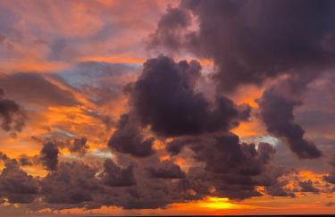 Paradise Home, Tranquil canal view 3-BDR in Golfers paradise - Foto 30