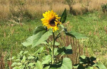 Haus an Fluss und See - Foto 57