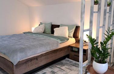 Apartmani Habibi - Foto 43