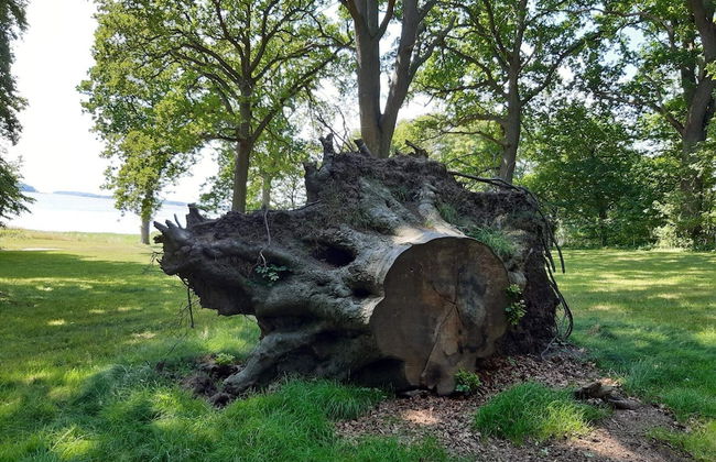 5 Person Holiday Home in Rude-by Traum - Foto 5