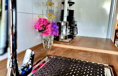 Tara - Ruhige Oase nahe Frankfurt am Main - Foto 11