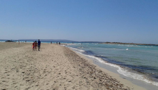 Formentera y sus mejores playas: tour de día completo en ferri rápido con recogida opcional - Foto 5