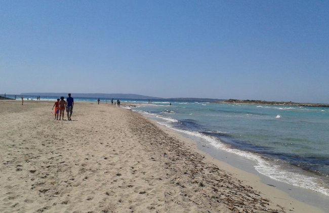 Formentera with its best beaches - Full-Day Tour by Fast Ferry and Optional Hotel Pick-Up - Photo 5