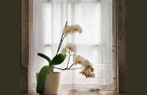 LA CASA ALTA en la ruta del Camino de Santiago - Foto 15