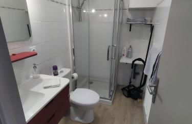 Appartement T2 "JUNGLE" Centre Ville de VITRÉ au calme coté cour - Foto 11