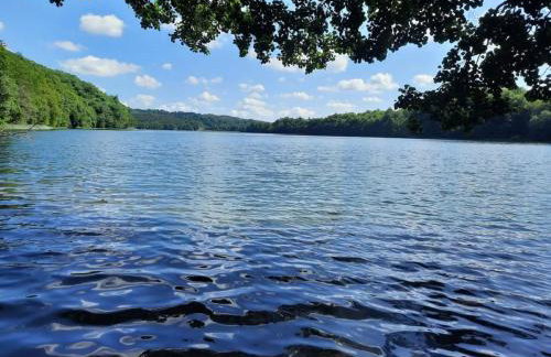 Pod Żurawiem Urokliwy domek na Kaszubach - Foto 59