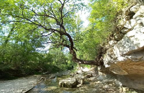 Gîte La Mosaïque - Foto 24