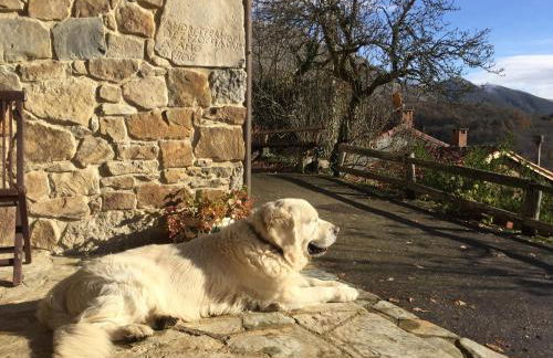 La Xamoca Apartamentos Rurales - Foto 64