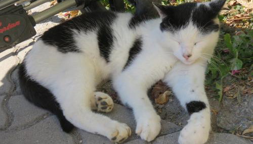 Stadel Hof Altötting - Foto 3