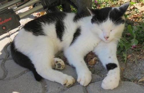 Stadel Hof Altötting - Foto 3