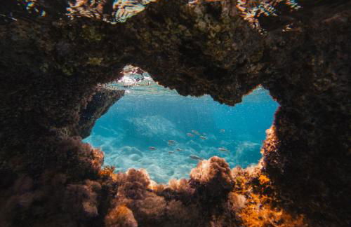 Kallis Stone Houses - Foto 47