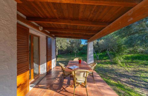 Profumo di Sardegna - Foto 15