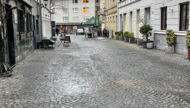 Haus zum Bacchus Privates Einzelzimmer nahe Bahnhof Römisches Theater, Mainz - Foto 2