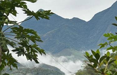 La Casinha da Sorte - Photo 20