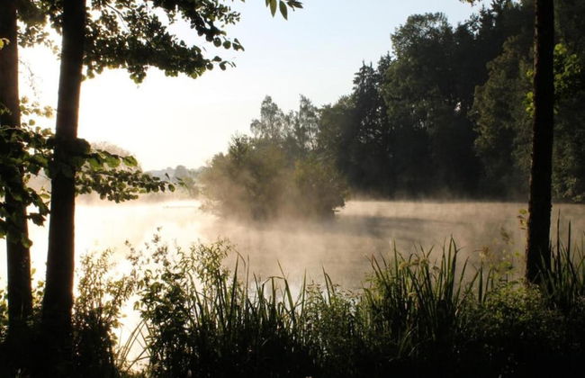 Ferienhaus in Brigach - Foto 37