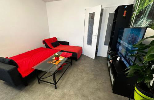 Les Dômes du Parc 4e App T3 et T1 proche de toutes commodités - Foto 16