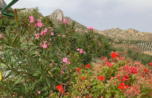 La Casilla- La Almona Chica - Foto 12