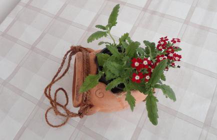 Apartment Fabris - Foto 34