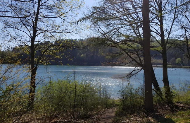 A Comfortable, Large House With Wifi in Hochsauerland, Suitable for 14 Persons - Foto 26