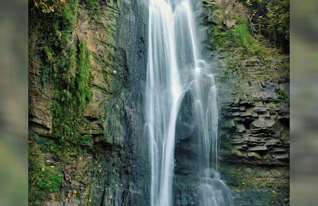 Botanical 21 Apartments - Foto 71