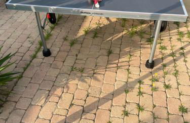 Loue splendide villa 6 couchages - Foto 10