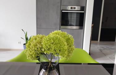 Grüne Oase Ferienwohnung Köln Bonn - Traveler Award Gewinner - Foto 7