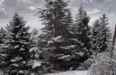 Cal Tonico Rural - Foto 41