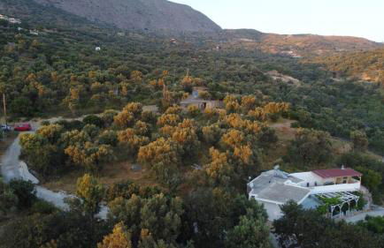 Mano's House - Foto 51