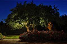 SKALNY apartamenty, pokoje - Foto 71