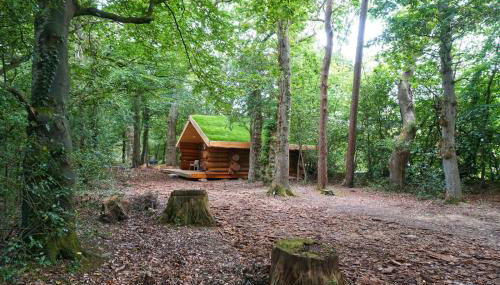 Secluded Hand Crafted Log Cabin - Foto 4
