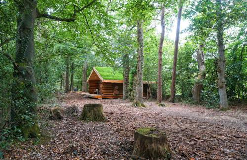 Secluded Hand Crafted Log Cabin - Foto 4