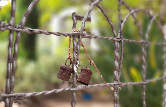 Abigails Garden Cottage - Foto 39