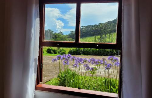 Recanto da Natureza- Chalé - Foto 7