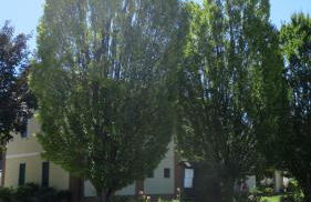 Agriturismo L'Albara - Wines, Pool & SPA - Foto 36