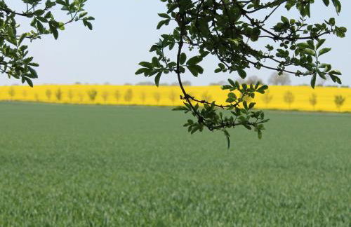 Landurlaub Nahe Insel Poel in Krusenhagen - Foto 24