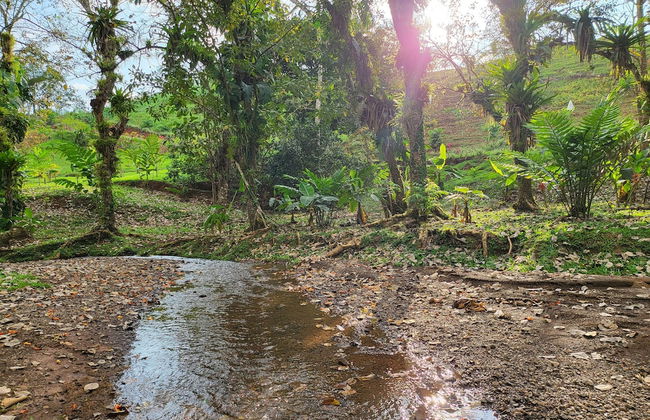 Jaco-carara 3 Bdrm Surrounded by Rainforest With Private Pool - Foto 41