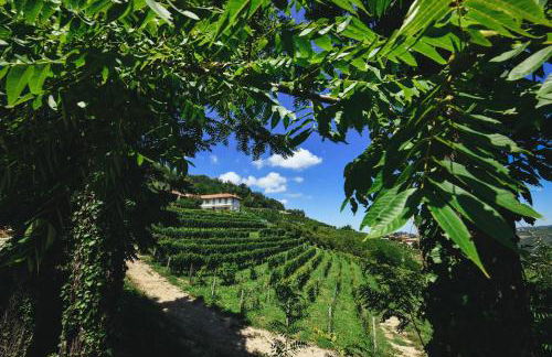 Cascina Flino - Foto 6