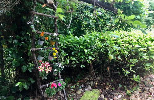 Caserio Arrigorri excelente ubicación jardín con BBQ perfecto para grupos - Foto 16