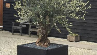 The Horseshoe Cottage - Foto 3