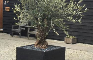 The Horseshoe Cottage - Foto 3