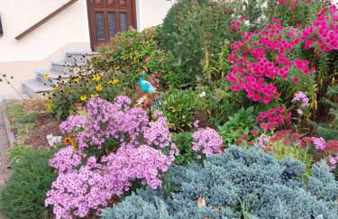 Ferienhaus NaturKraftEnergie - Foto 12