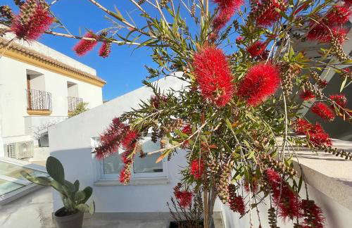 Casa Florinda Tarifa - Foto 21